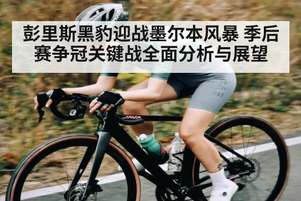 彭里斯黑豹迎战墨尔本风暴 季后赛争冠关键战全面分析与展望 - KAIYUN SPORTS